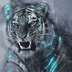 Meet your Posher, Devin